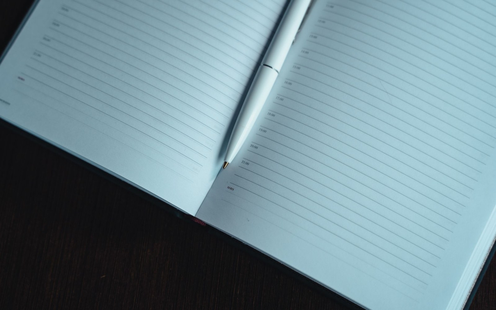 A silver pen resting on an open lined planner with hourly time slots